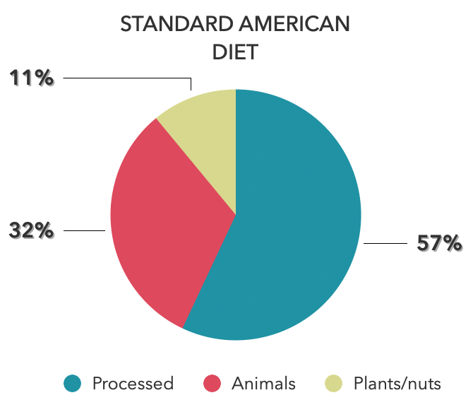 Nutrition: Chart showing Standard American Diet