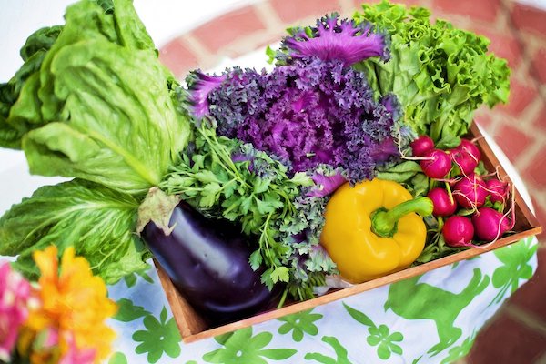 Whole foods plant based diet vegetables in basket